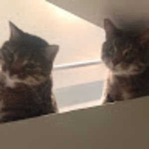 Meet your Posher, Mary marjorie